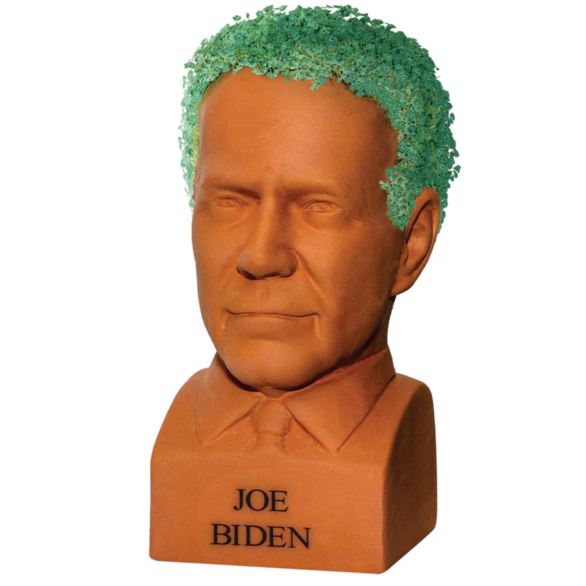 Joe Biden Chia Pet