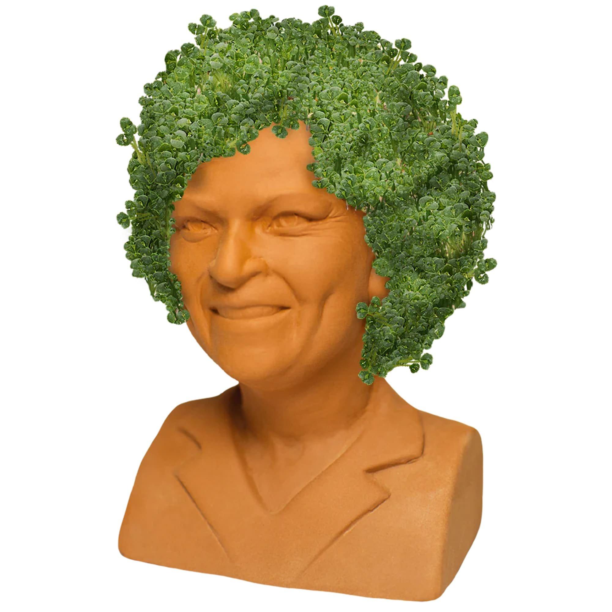 The Golden Girls Rose Chia Pet