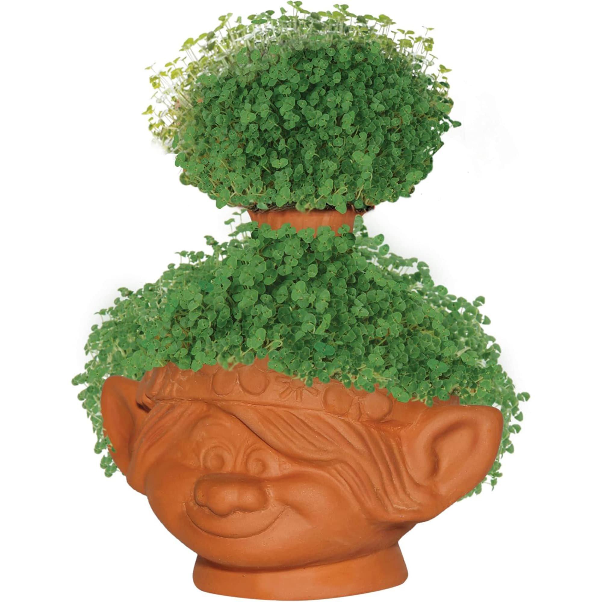 Trolls World Tour Poppy Chia Pet