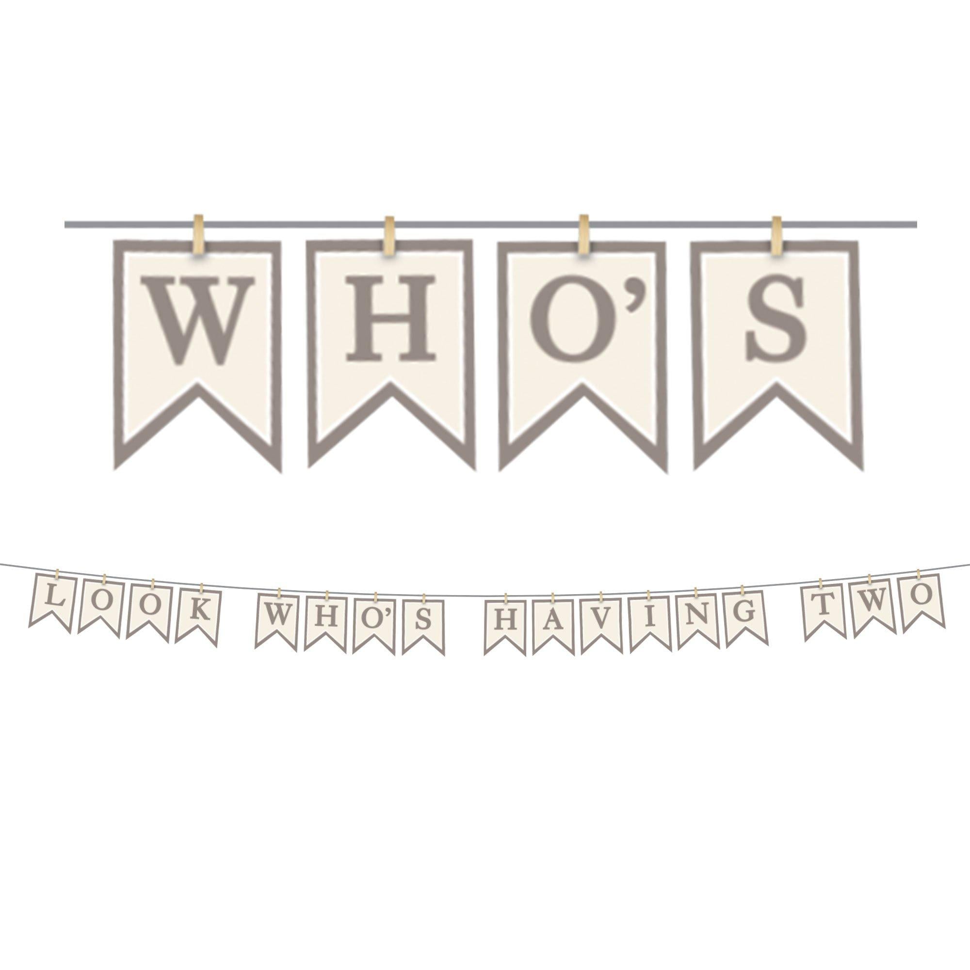 Look Who's Having Two Baby Shower Cardstock Pennant Banner, 12ft