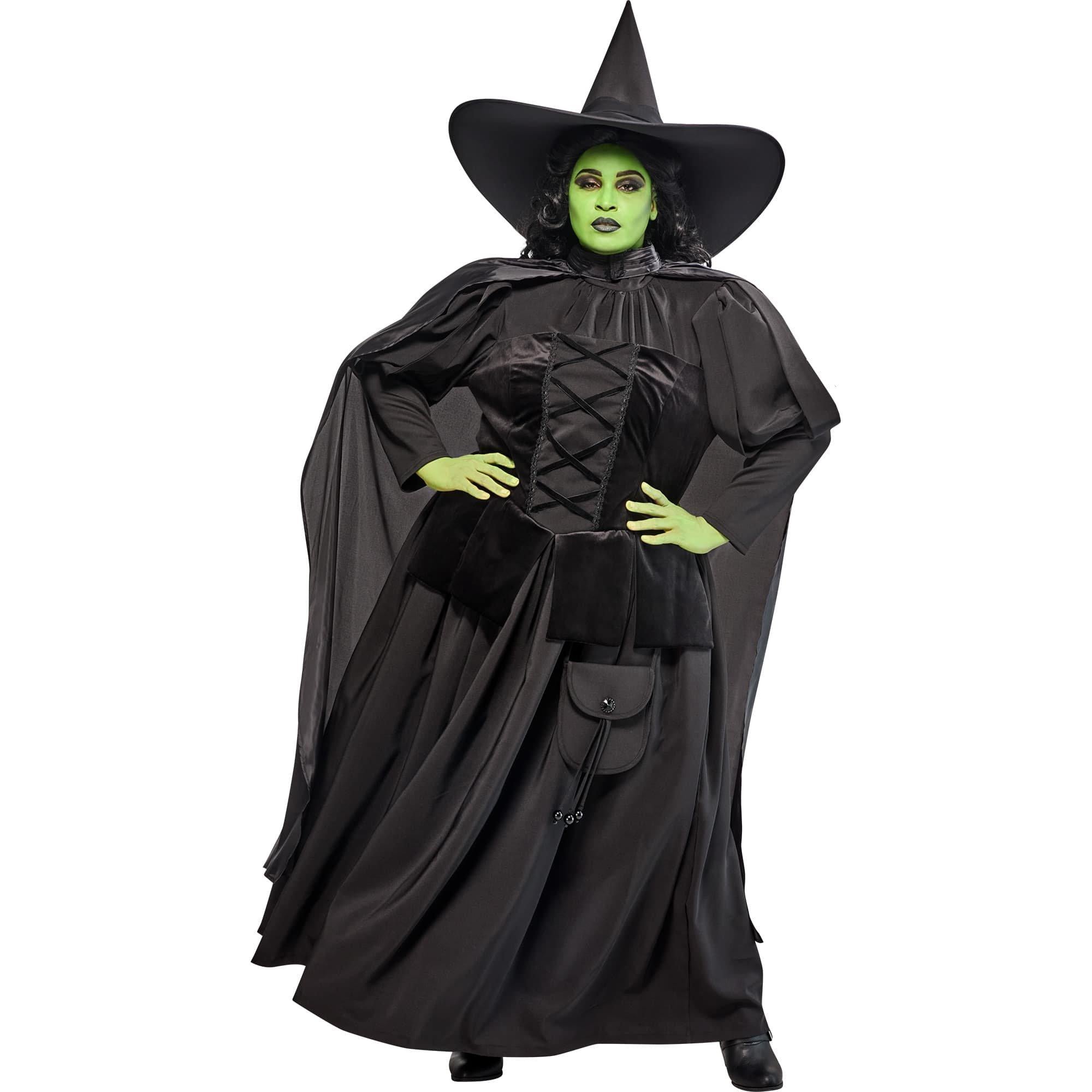 Women's Plus Size The Wizard of Oz Wicked Witch Costume