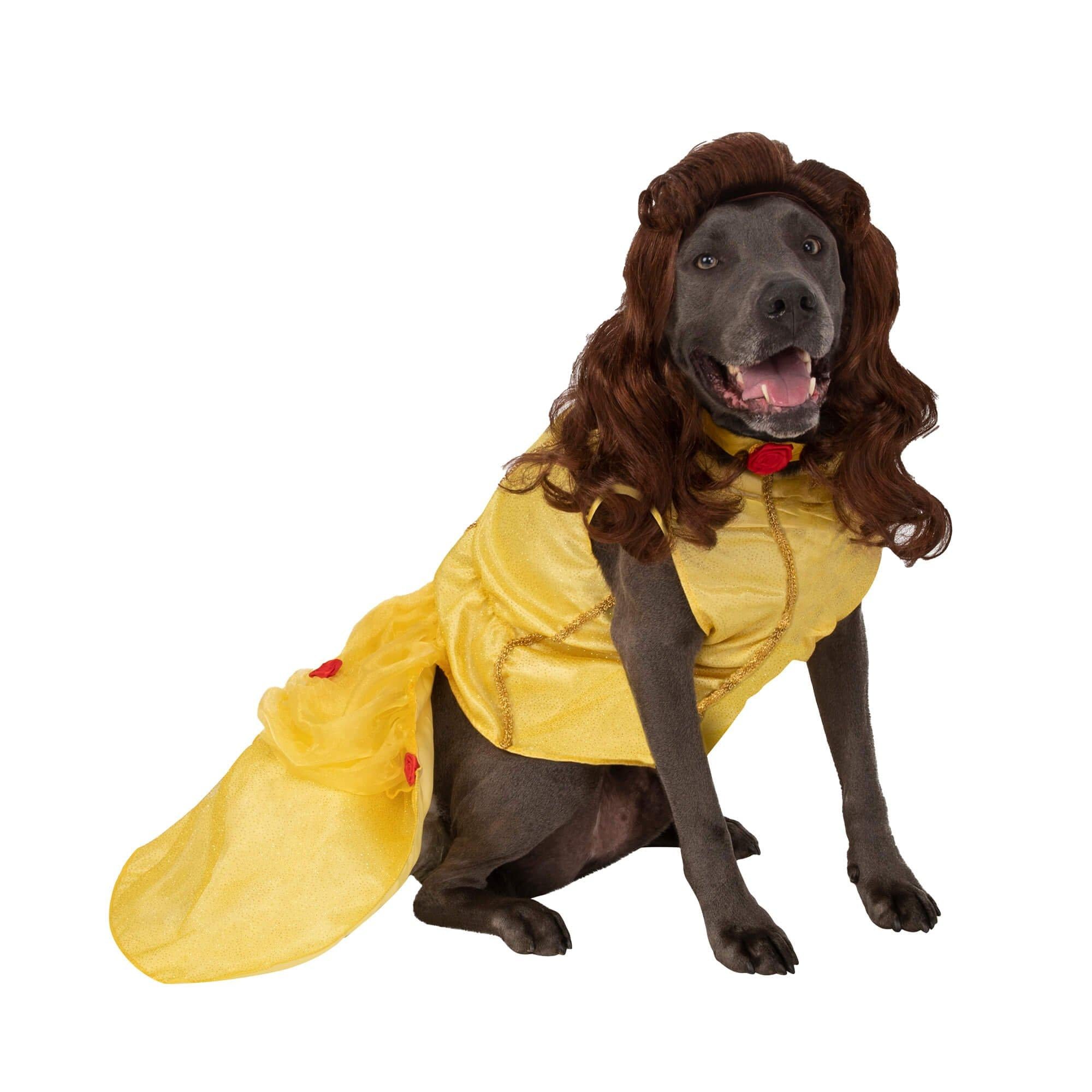 Beauty and the Beast Belle Big Dog Pet Costume