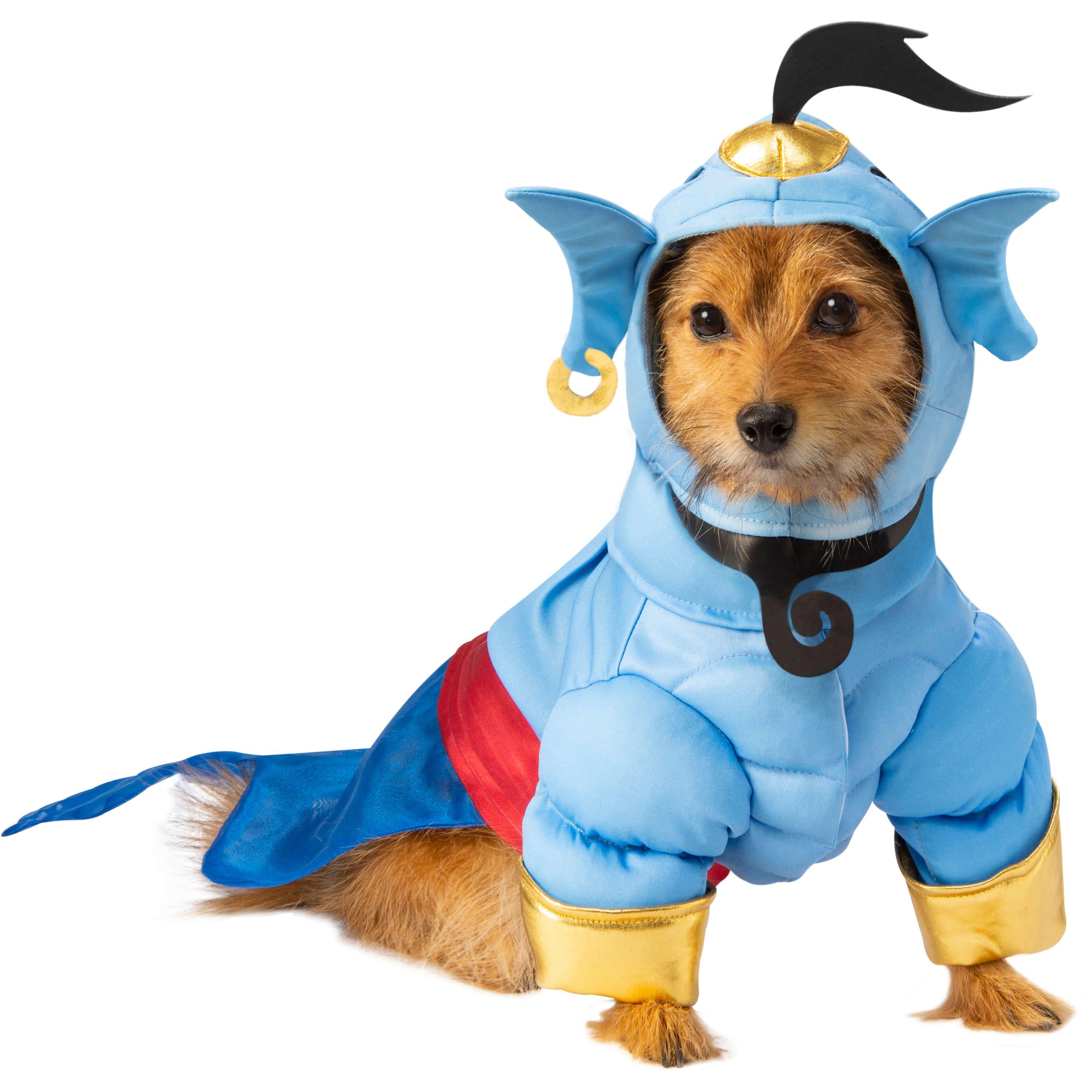 Aladdin Genie Pet Costume