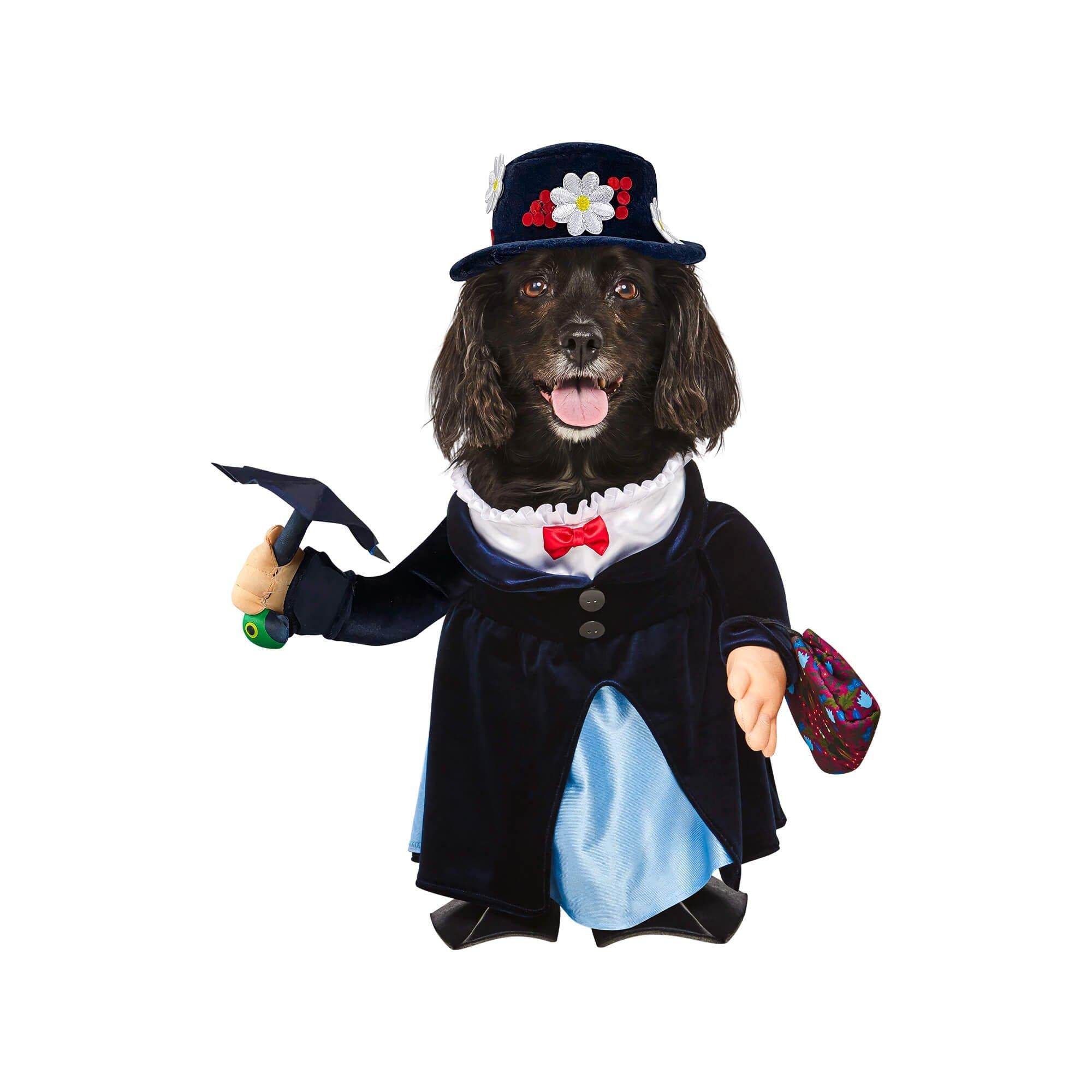 Mary Poppins Walking Pet Costume