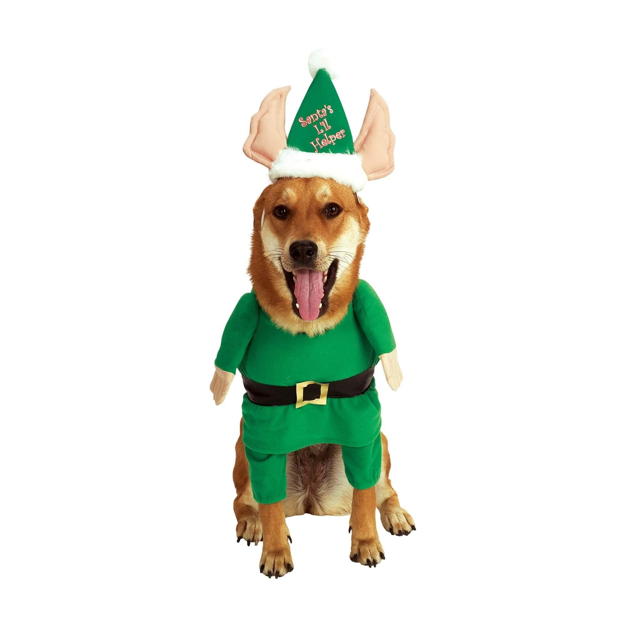Santa's Lil Helper Walking Pet Costume