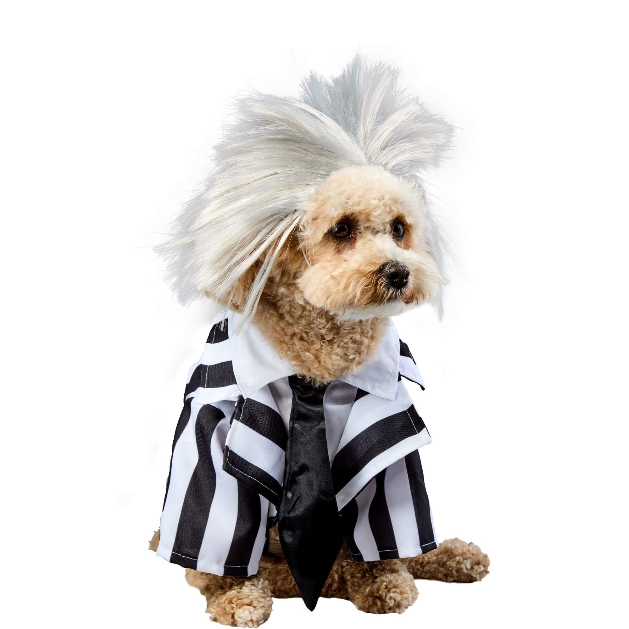 Beetlejuice Dog Costume