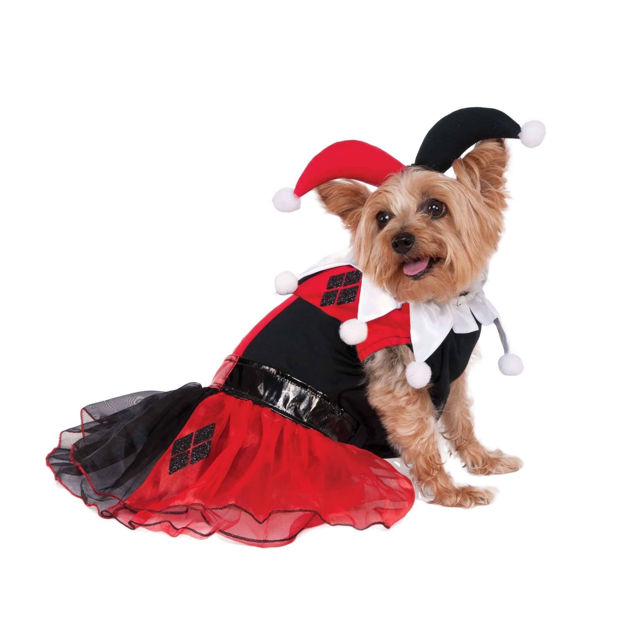 Harley Quinn Dog Costume - Batman